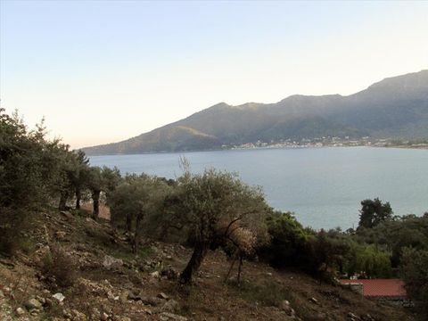 Земельный участок в Тасос