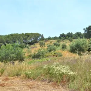 Земельный участок в Corfu, фото 2