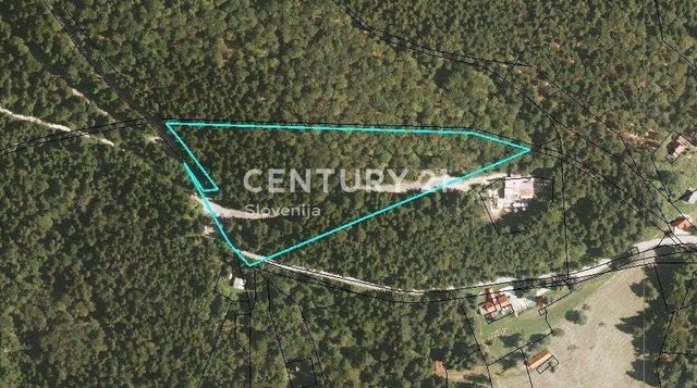 Земельный участок в Хоче