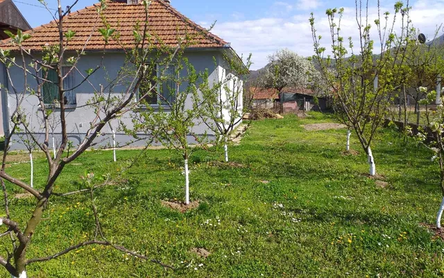 Отдельный дом в Лозница