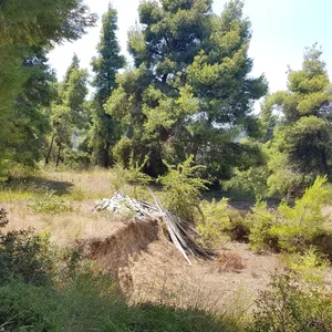 Земельный участок в Kassandra Municipality, фото 4