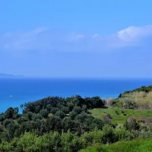 Земельный участок в Corfu, фото 2