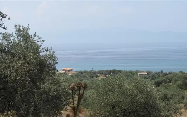 Земельный участок в Aristotle University of Thessaloniki