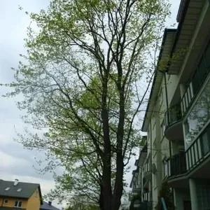 Квартира в Варшава, фото 3