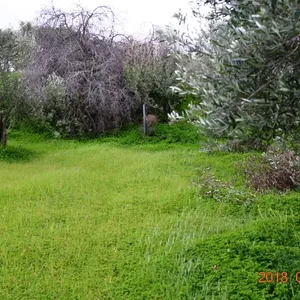 Земельный участок в Гувес, фото 4