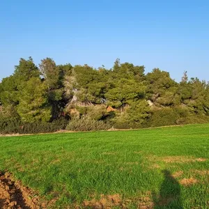 Земельный участок в Kassandra Municipality, фото 2