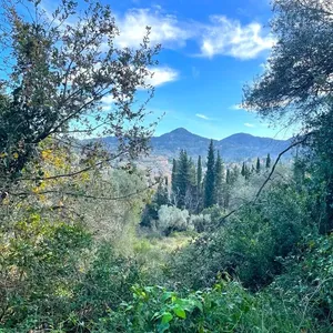 Земельный участок в Corfu, фото 4