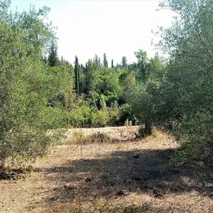 Земельный участок в Corfu, фото 4