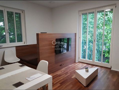 Студия в Птуй