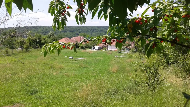 Отдельный дом в Лазарени