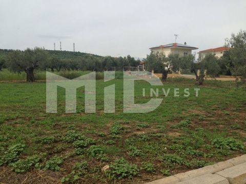 Земельный участок в Неа-Мудания