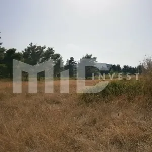 Земельный участок в Каллифея (Кассандра), фото 2