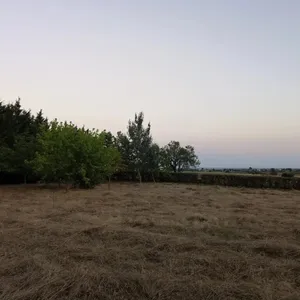 Земельный участок в Επανομή, фото 4