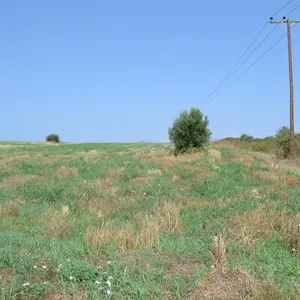 Земельный участок в Kassandra Municipality, фото 3