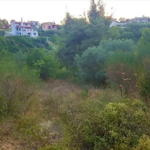 Земельный участок в Ситониа, фото 4