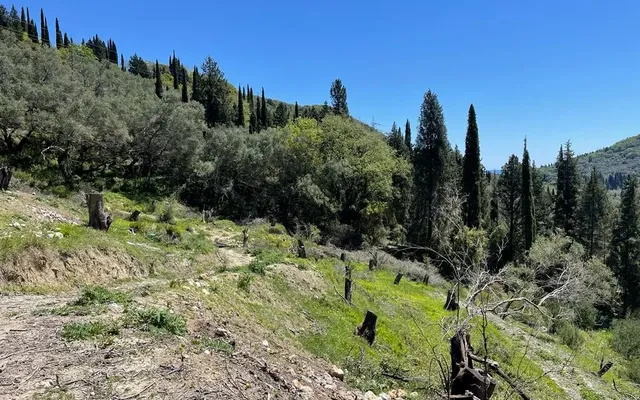Земельный участок в Corfu