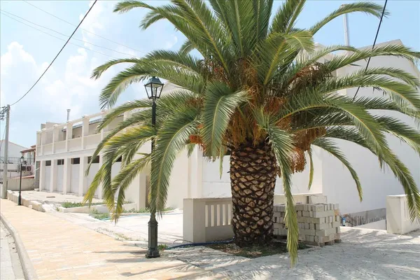 Коммерческая недвижимость в Corfu