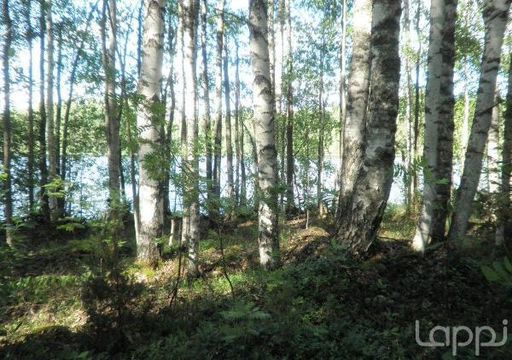 Земельный участок в Керимяки