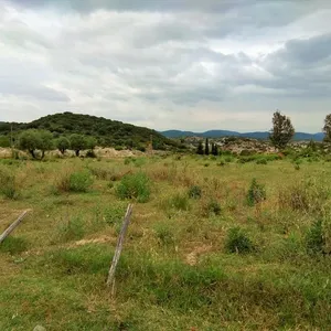 Земельный участок в Aristotle University of Thessaloniki, фото 2