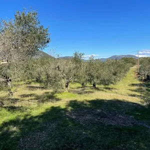 Земельный участок в Corfu, фото 4