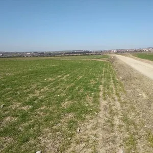 Земельный участок в Микра, фото 3