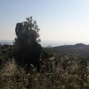 Земельный участок в Ситониа, фото 2