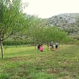 Земельный участок в Полье, фото 3