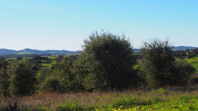 Земельный участок в Сантьягу-ду-Касен