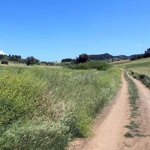 Земельный участок в Kassandra Municipality, фото 2