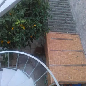 Отдельный дом в Афины, фото 2