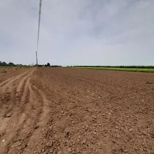 Земельный участок в Муниципалитет Неа-Пропонтида, фото 3