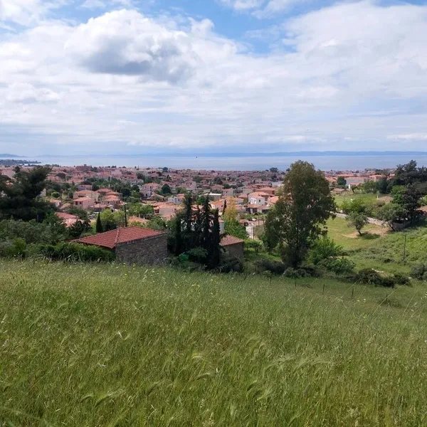 Земельный участок в Ситониа, фото 1
