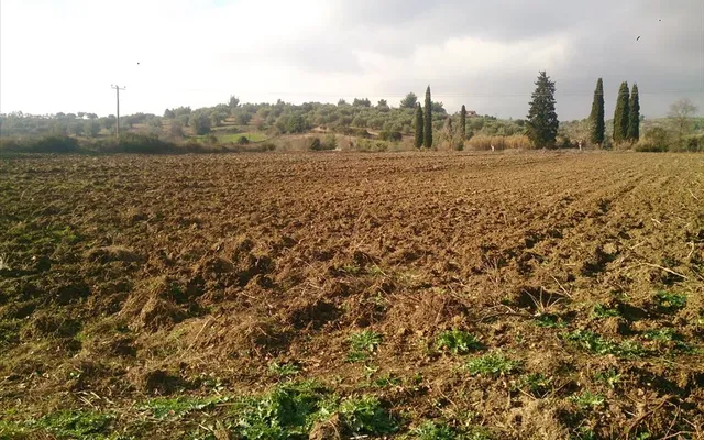 Земельный участок в Kassandra Municipality