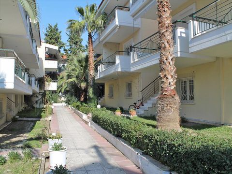 Таунхаус в Каллифея (Кассандра)