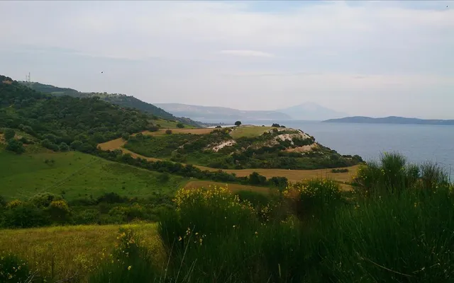 Земельный участок в Aristotle University of Thessaloniki