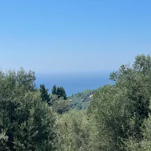 Земельный участок в Corfu, фото 2