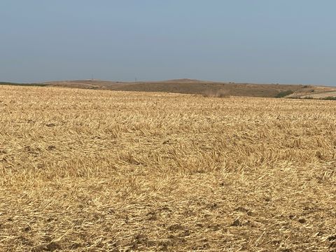 Земельный участок в Тынково