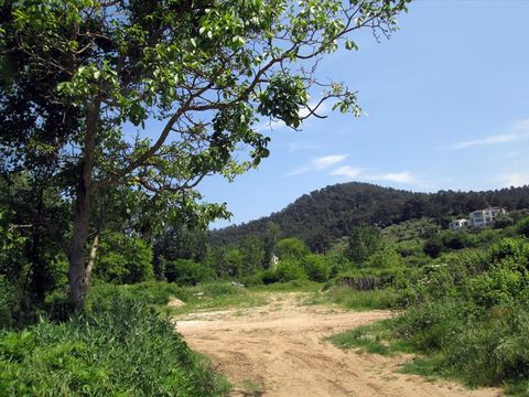 Земельный участок в Тасос