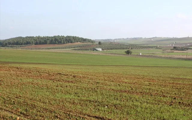 Земельный участок в Kassandra Municipality