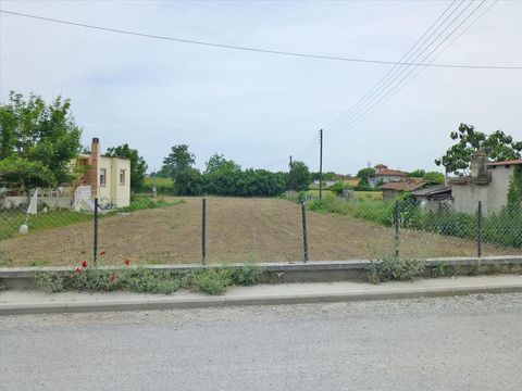 Земельный участок в Катерини