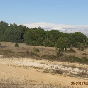 Земельный участок в Вир, фото 4