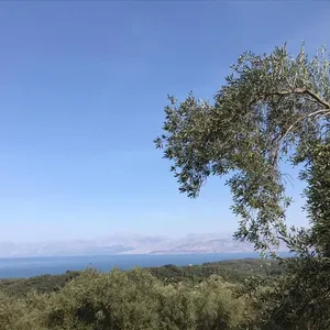 Земельный участок в Corfu, фото 2