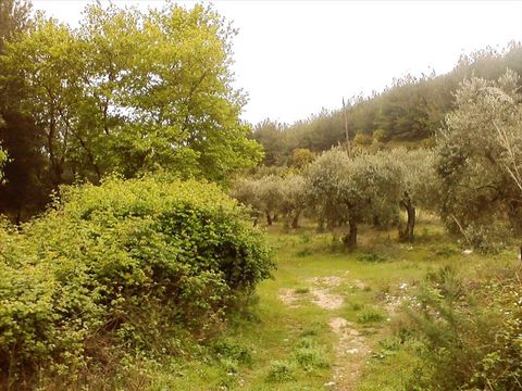 Земельный участок в Тасос