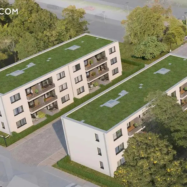 Wildrose in Berlin, фото 1