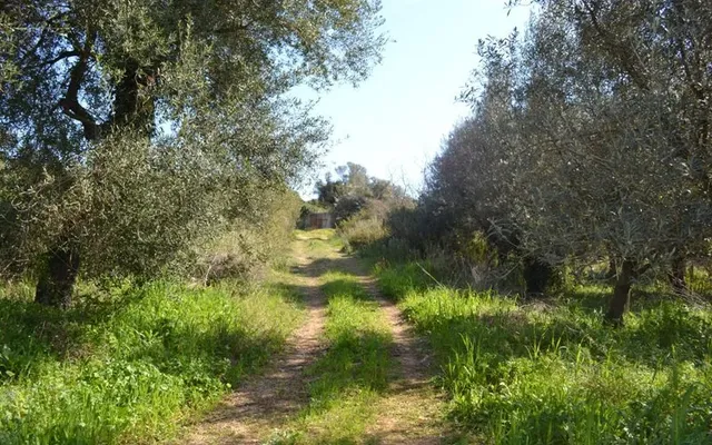 Земельный участок в Corfu