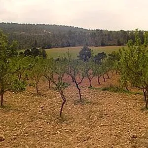 Земельный участок в Айора, фото 2