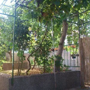 Отдельный дом в Трогир, фото 4