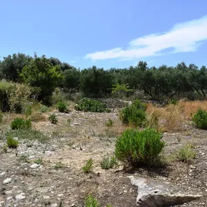 Земельный участок в Kouloukonas, фото 3