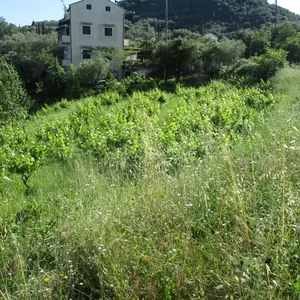Земельный участок в Corfu, фото 3
