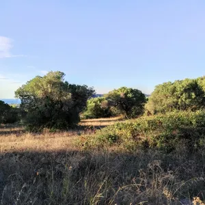 Земельный участок в Kassandra Municipality, фото 2